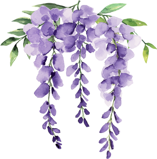 wisteria border purple flower watercolor element 3